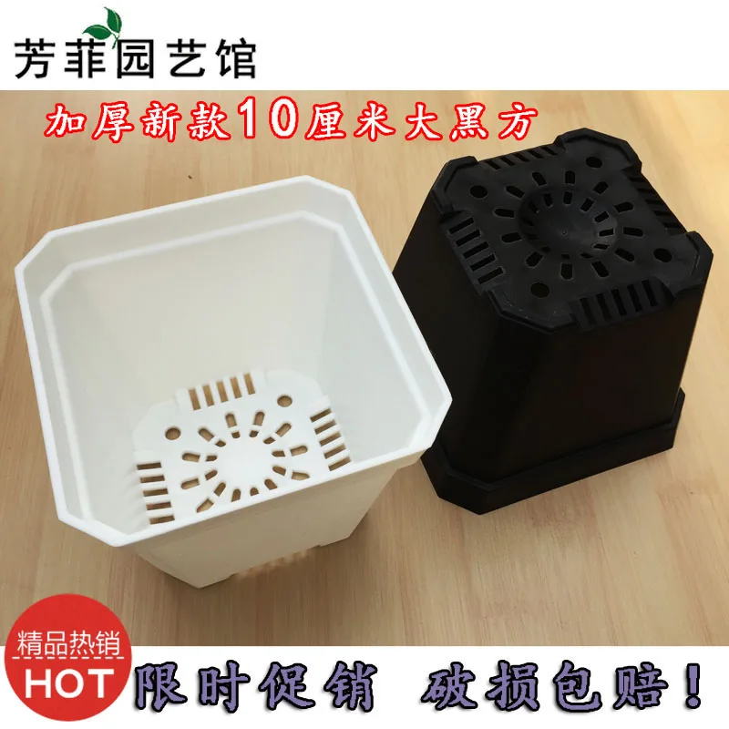 

New succulents thick plastic pots 10 cm large black square