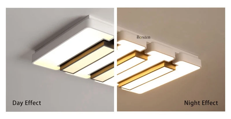 Creative Modern Ceiling Lights Black and White Iron Acrylic Ceiling Lamp For Living Room Bedroom Remote Control Lighting Fixtures (11)