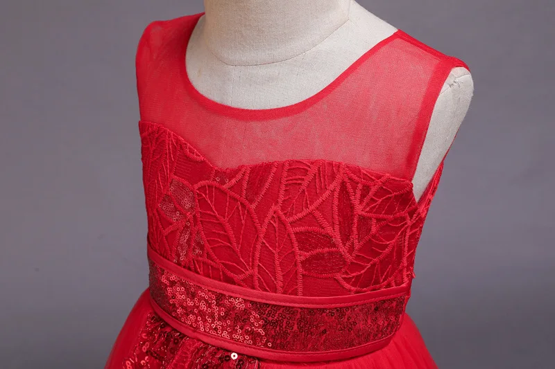 11532172707_1498729419