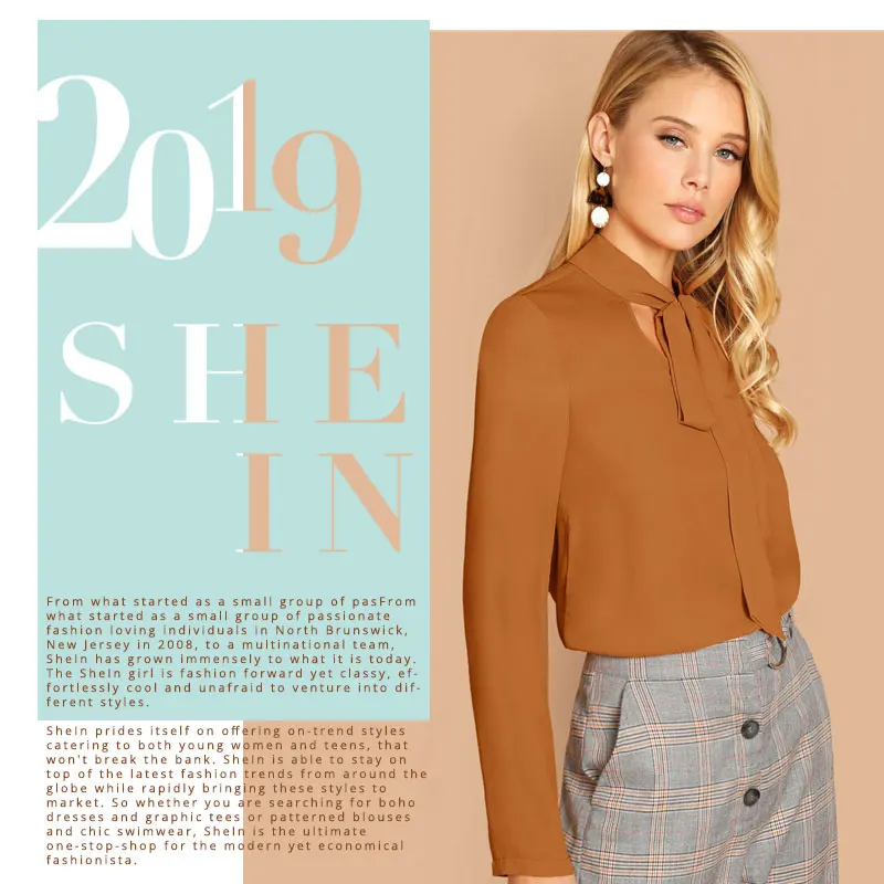 SHEIN, коричневый однобортный Топ с завязками на шее, однотонная блузка, летняя Женская Весенняя рабочая одежда для офиса,, стильные блузки с длинным рукавом