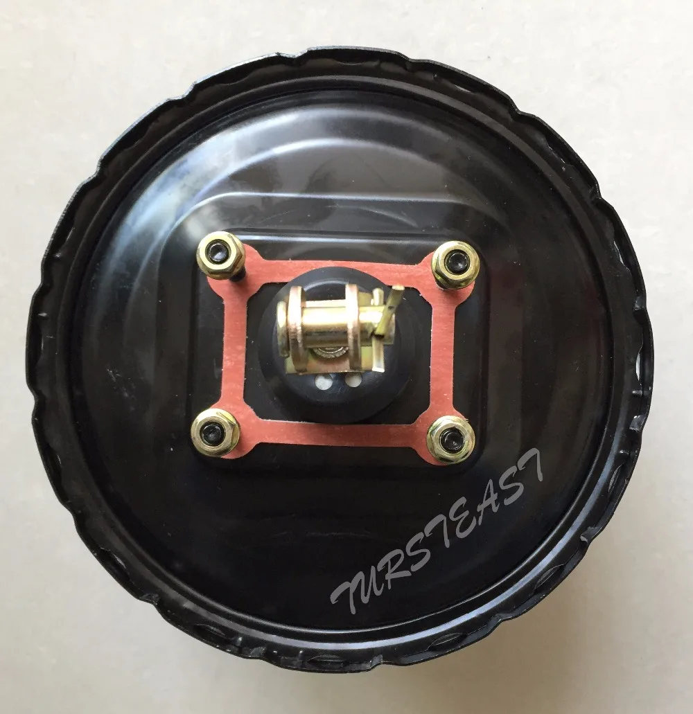 MB618721