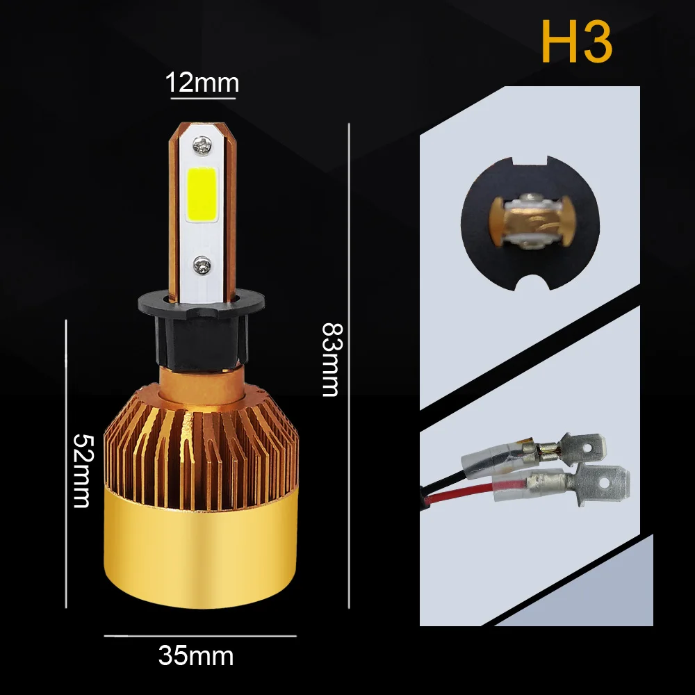 H3