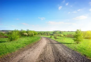 

Laeacco Countryside Trees Field Road Blue Sky Scenic Photography Backgrounds Customized Photographic Backdrops For Photo Studio