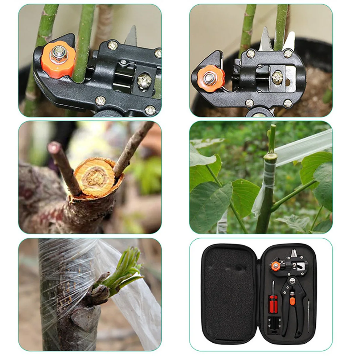 

1 Set Professional Garden Fruit Tree Prune Shear Snip Grafting Cutting Tool Kit -- JDH99