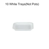 White Trays