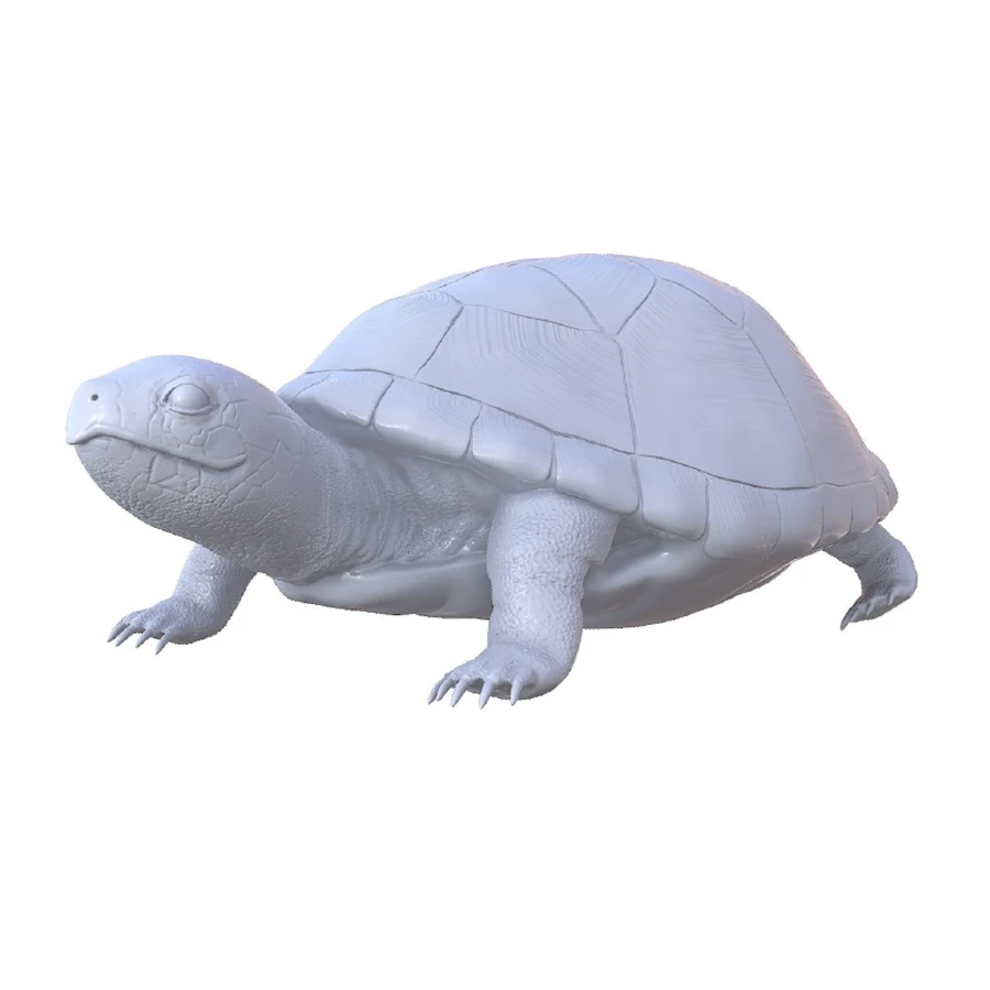 

turtle model of SLA SLS 3D print service with good price