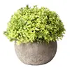Artificial Plastic Potted Green Plant