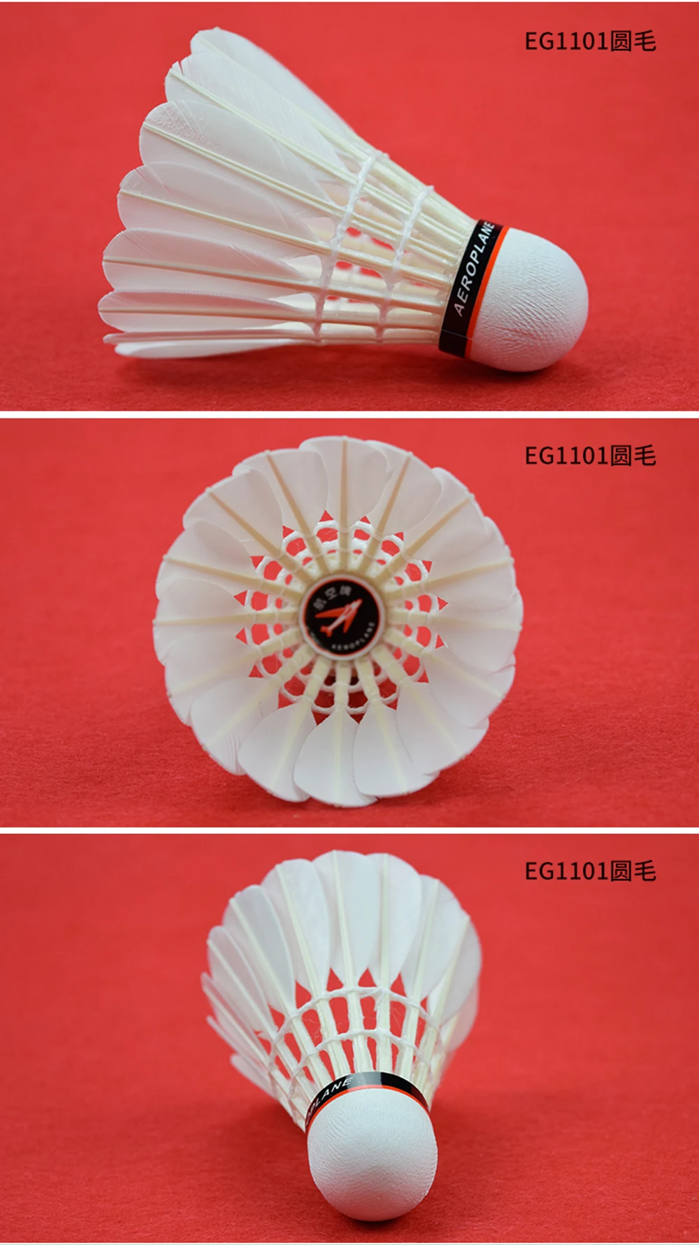 EG1130-110112-tmall_04