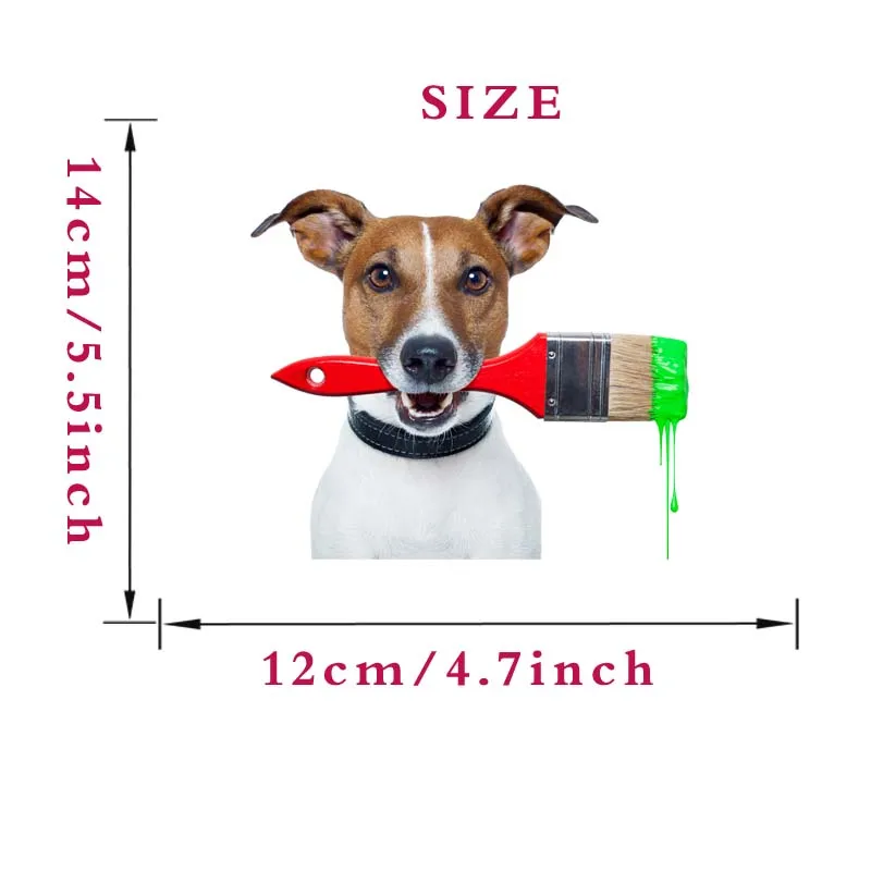 FCS9079-A-size