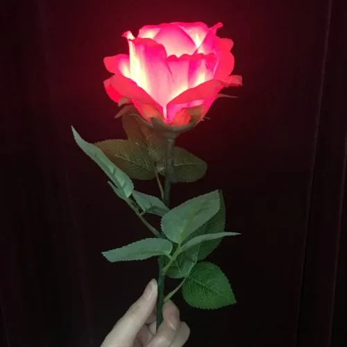 

Lighting rose Remote control / button (1 flowers) - Magic trick,flower magic,close up magic,stage,magic for lover,romantic,props