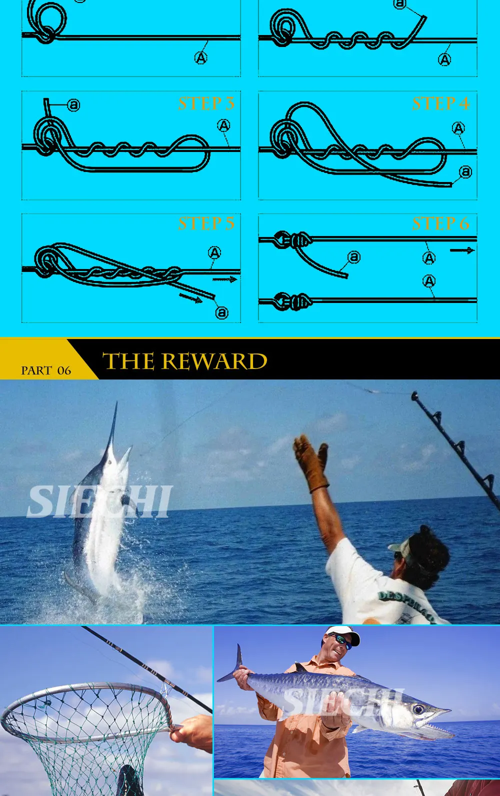 300-500-1000(4-8)_14