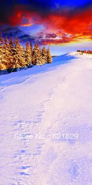 

Charming snow scene 10'x20' CP Computer-painted Scenic Photography Background Photo Studio Backdrop DT-11-236