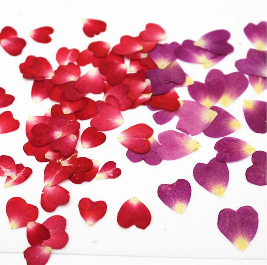 

250pcs Pressed Dried Heart Shape Rose Petals Flower Plant Herbarium For Jewelry Postcard Invitation Card Phone Case DIY