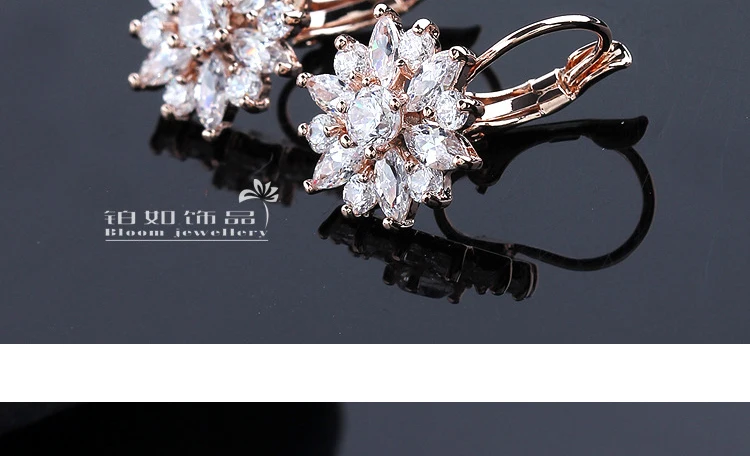 BR009012_06