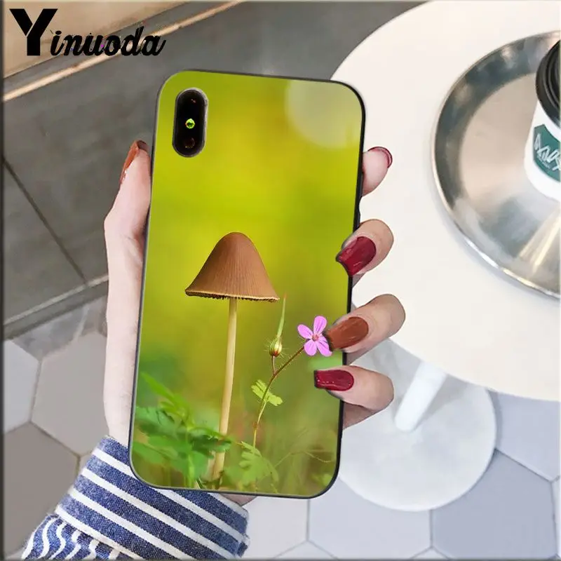 Cute plant mushroom