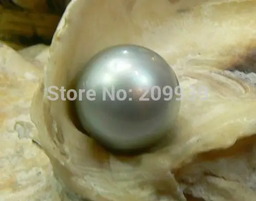

Hot sell ->@@ N287 PERFECT NATURAL 12MM AUSTRALIAN SOUTH SEA GENUINE GREY SILVER LOOSE PEARL UNDRIL -Top quality free shipping