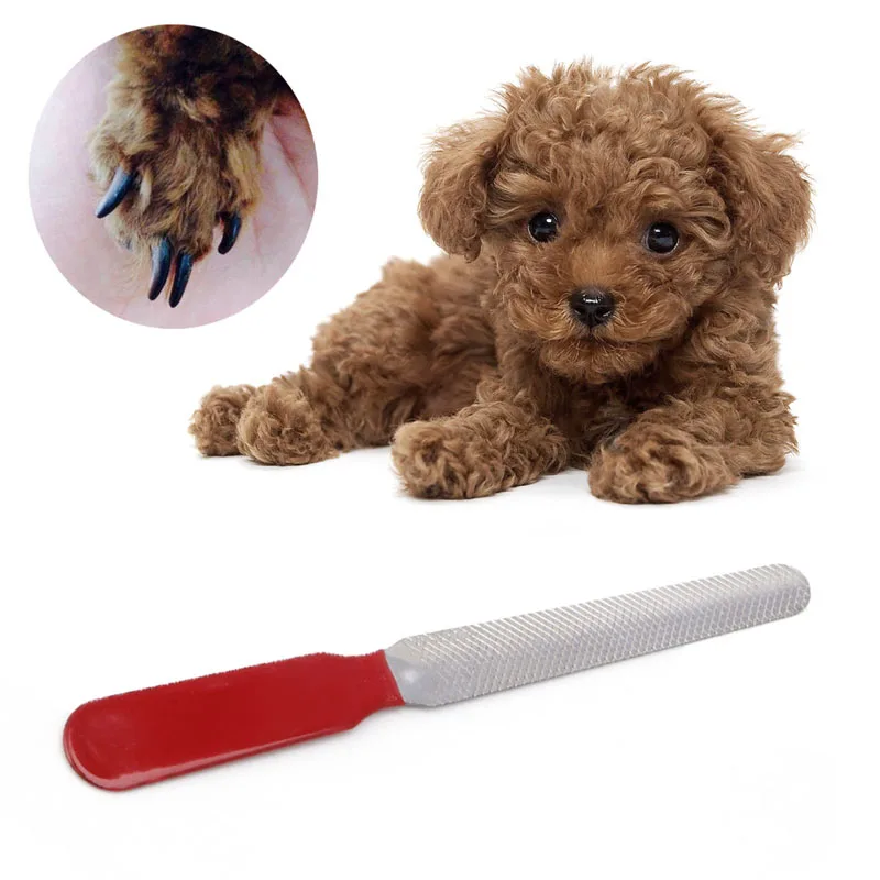 

1pc Pet Grooming Dog Cat Stainless Steel Nail Toe Manicure File Tool