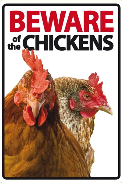 Beware of The Rabbit Plaque Vintage Metal Tin Signs Home Bar Pub Office Decorative Plate Rat Wall Sticker Garden Art Poster MN11 G