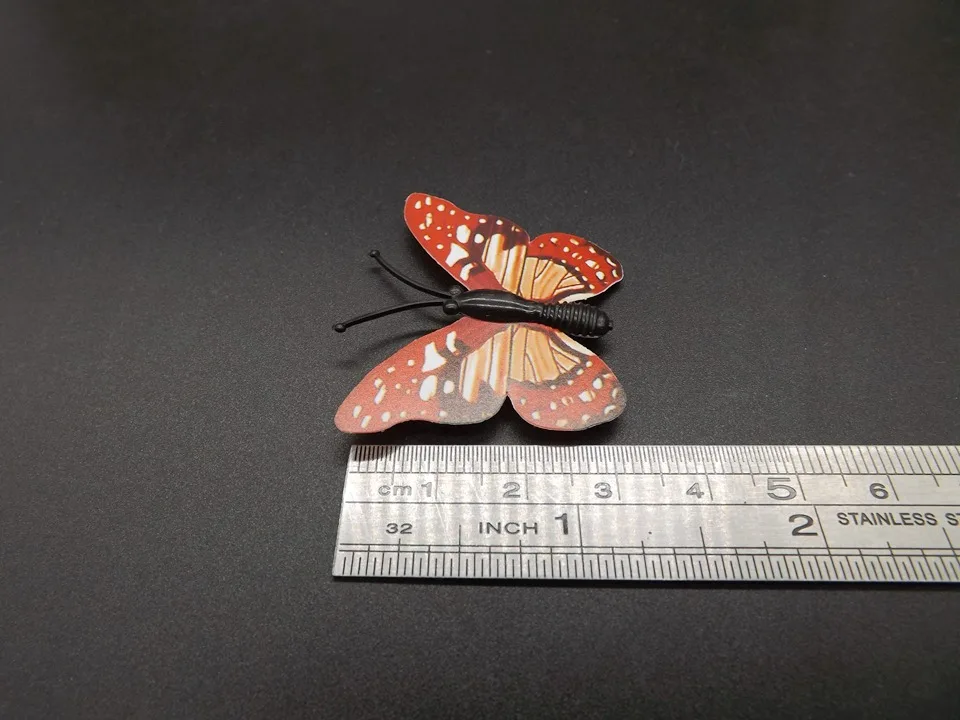 I257-Butterfly (11)