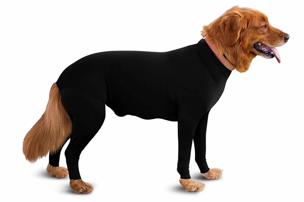 Защитник Комбинезон "собака" Уход содержит осыпание собачьей шерсти уменьшить тревожность заменить медицинский конус одежда для маленьких собак
