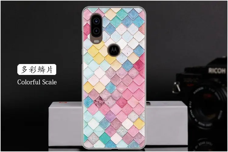  Colorful Scale