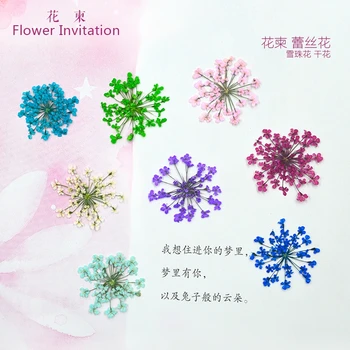 

Flower Invitation Lace Dried Flowers_ Natural Pressed Flowers For Ring and Bangle Mold Art DIY leisi