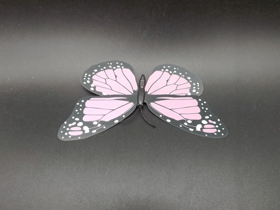 I242-Butterfly (7)