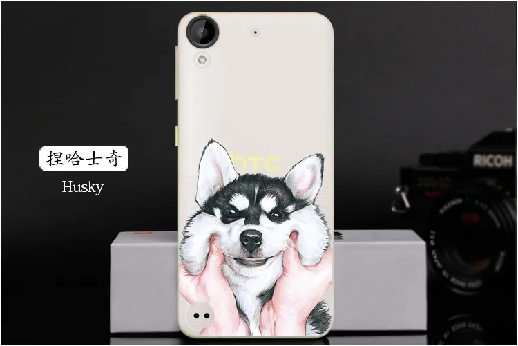  Husky