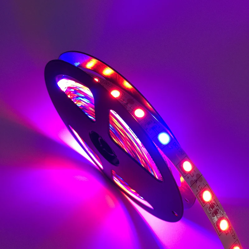 Levou Crescer Luzes 5050 levou crescer luz de Certificado : Ce, ccc, rohs