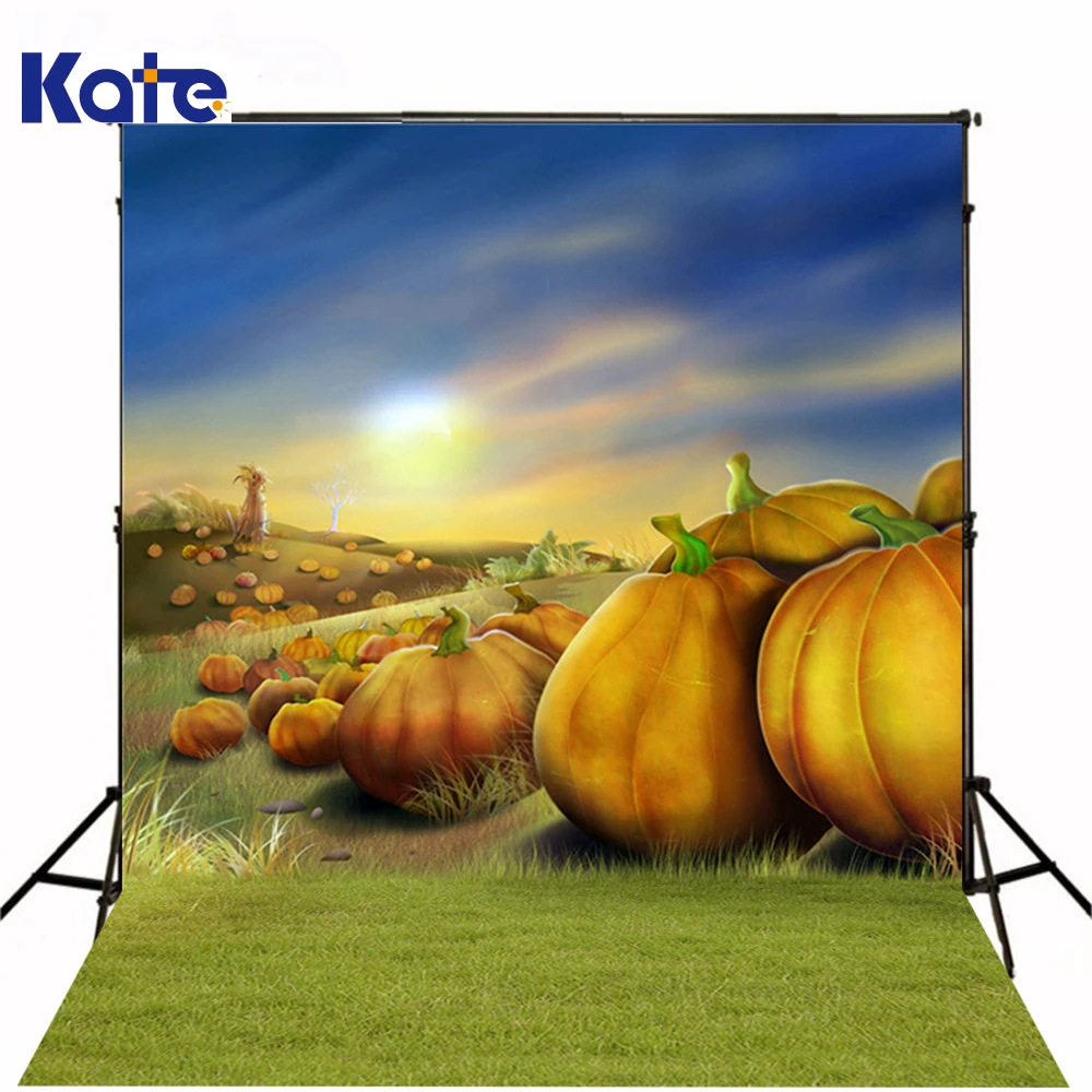 

Kate Halloween Photography Backdrops Lawn Big Pumpkin Studio Backdrop Sunny Day For Halloween Photography Scenic Backdrops
