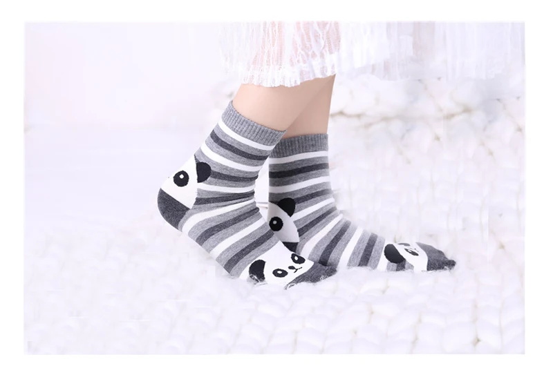 MYORED/5 пар/лот, женские носки, хлопковые смешные короткие носки, милые носки для девочек, милые женские носки с рисунками животных, Calcetines, без коробки
