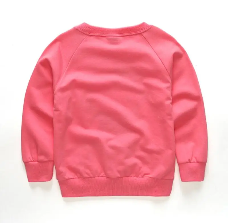 2017 Spring New Arrival Baby Girls boys girls terry sweater cartoon long sleeve T-shirt jerseys baby kids clothes -