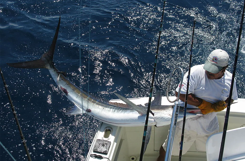 HTB1CEqNPXXXXXaJapXXq6xXFXXXb