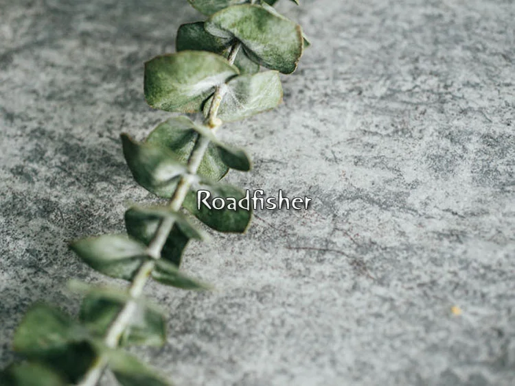 Grey cement backdrop 7
