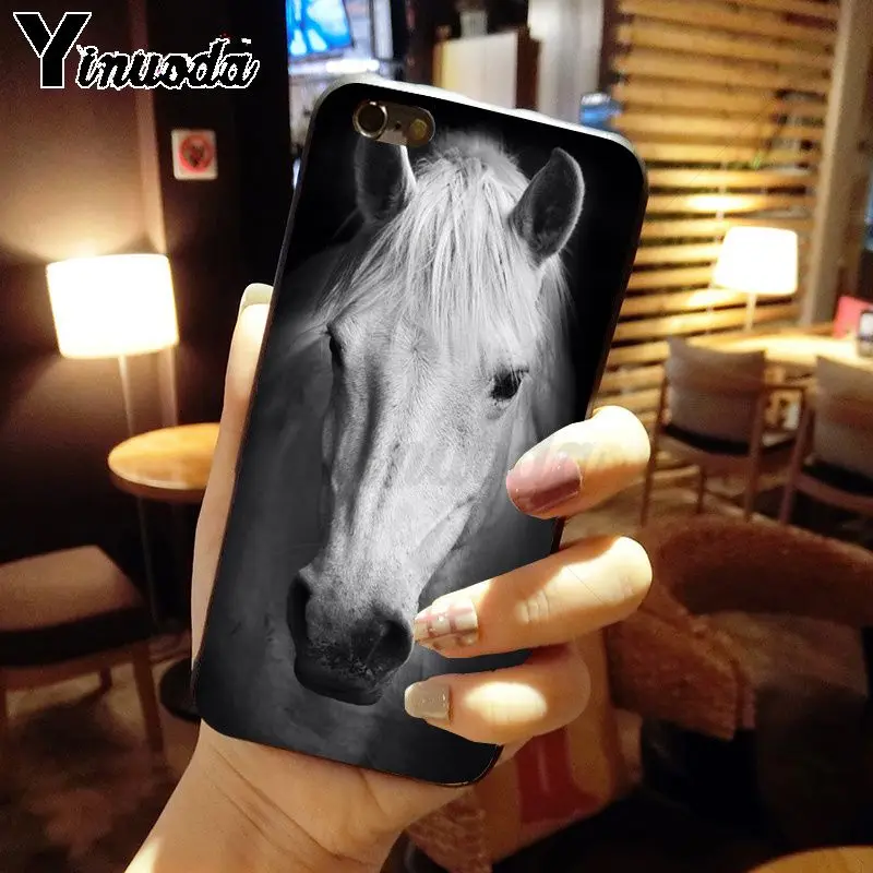 horse animal