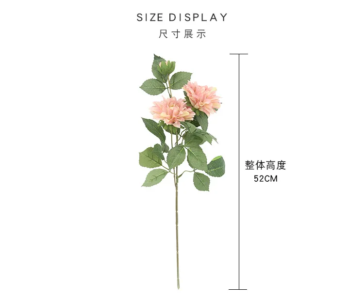 5280931411_1245478559