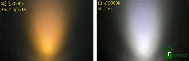2809252084_1064263310
