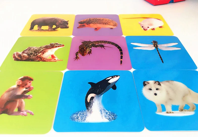 Cartão de Cognição Pces Pré-escolar Bebê Aprendizagem & Educação Crianças Animal Livro Animais Tecido Papel Precoce Cartão Brinquedos 48 7 Computers & Electronics