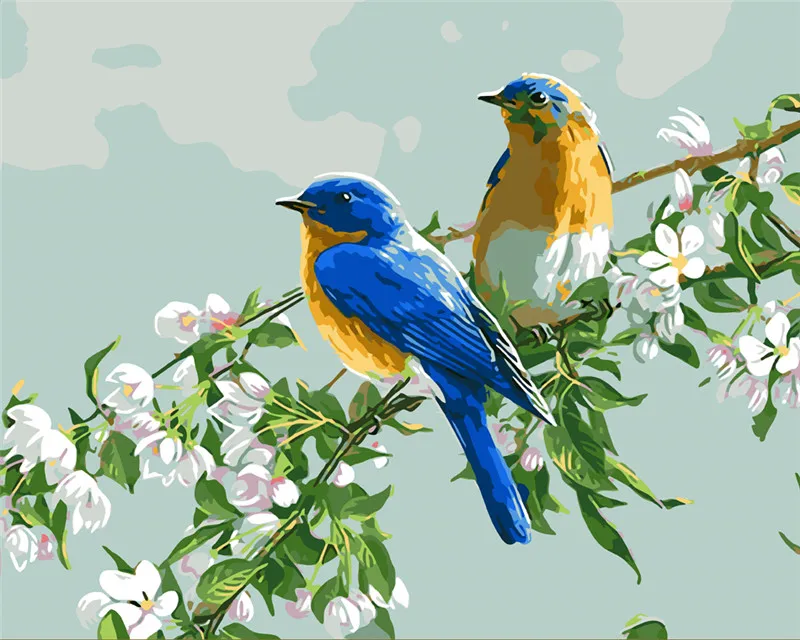 Bird Collection photo printed on Cloth Canvas Home decor wall quality art gift Bird Collection photo printed on Cloth Canvas Home decor wall quality art gift