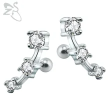 Симпатичные Драгоценные камни серьги-гвоздики серебряные серьги с циркониевым камнем хирургические Стальные Шпильки Серьги винт пирсинга хрящей для женщин Подарки для леди