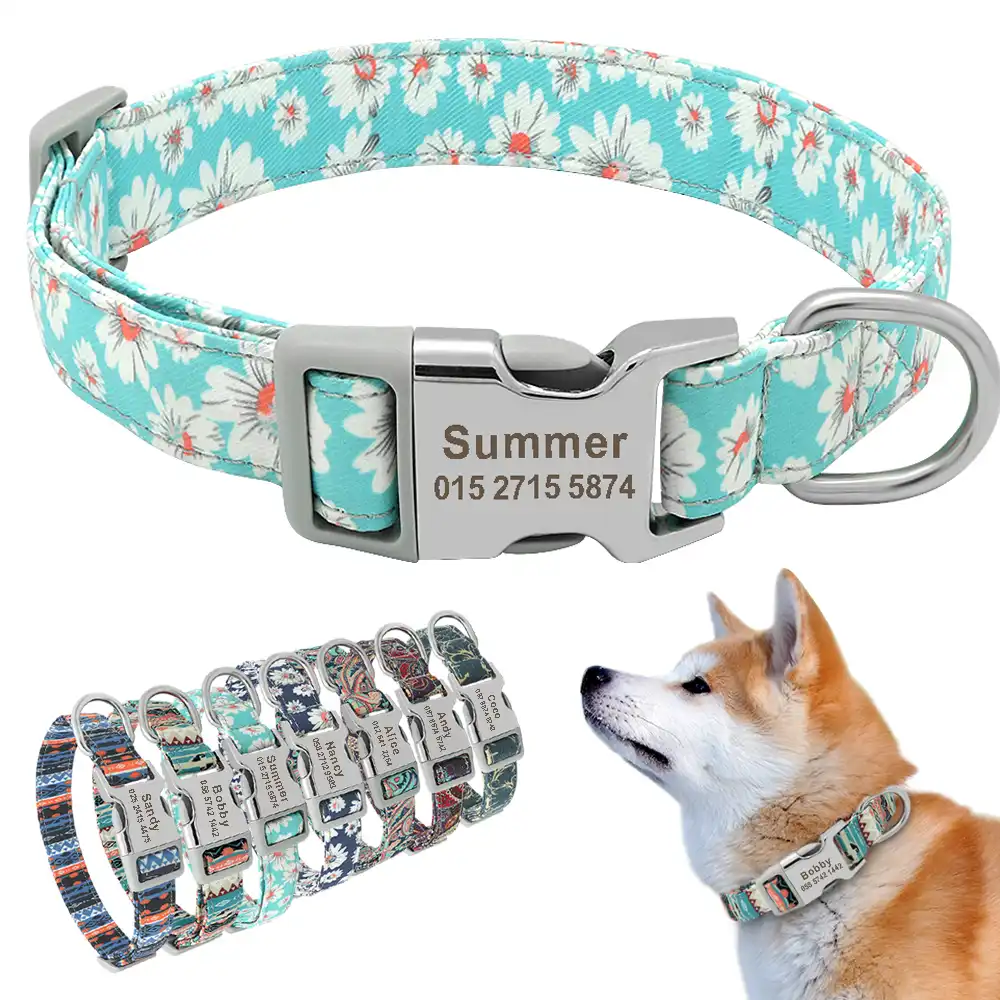 dog id collars personalized