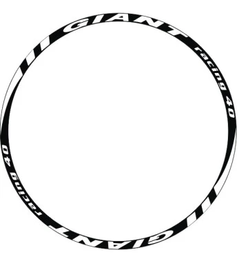 giant mountain bike wheels