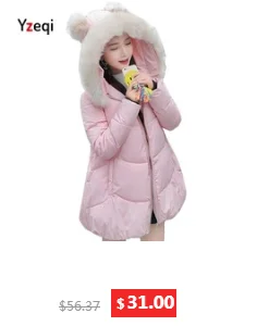 dianxiaobao