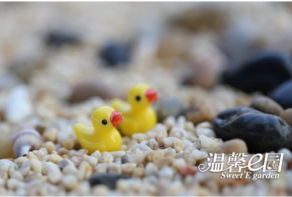 QQ20170506154255