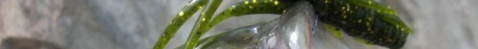 ENG_06