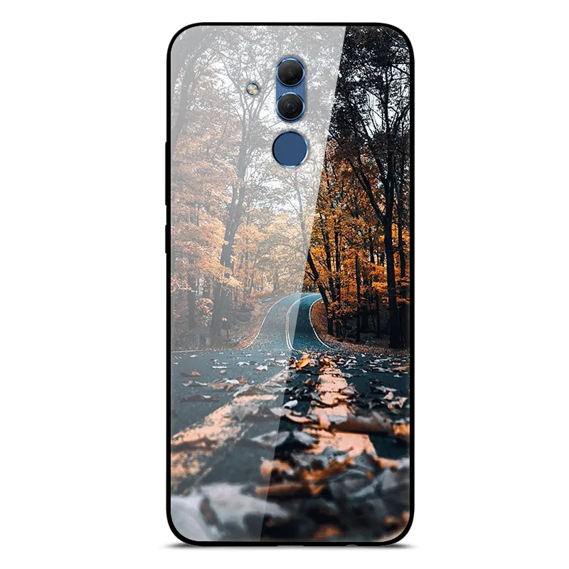 Mate 20 Lite чехол для huawei mate 20 Lite чехол s 6,3 силиконовый бампер из закаленного стекла+ Жесткая задняя крышка из поликарбоната чехол для телефона s Coque - Цвет: a14