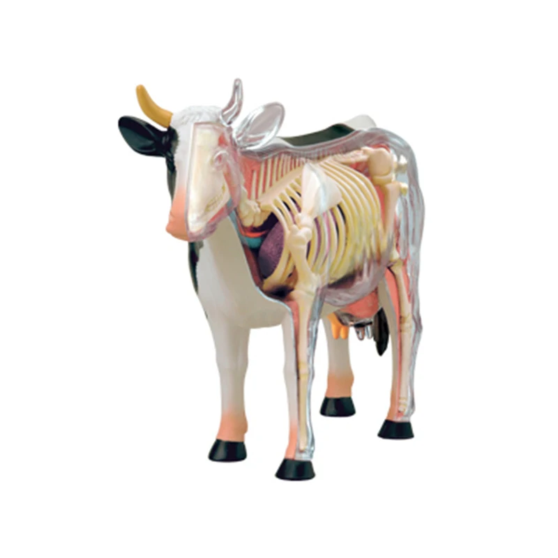 4D корова интеллект сборка игрушка животное орган анатомическая модель медицинская обучение DIY популярная научная техника