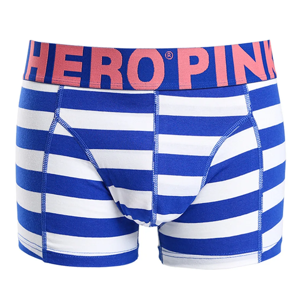 PINK HEROES Underpants Men Sexy Underwear Mens Stripe Underpants Knickers Sexy Briefs Shorts Cotton Underwear DEC21 - Цвет: Sky Blue