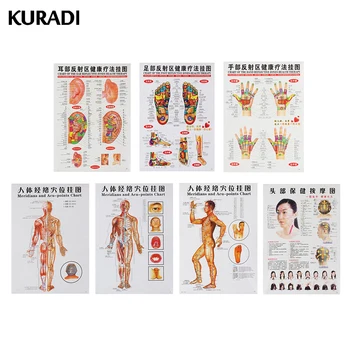 

7pcs/set Massage Point Map Acupressure Acupoint 2 Language Meridian Points Posters Chart Wall Map for Medical Practising