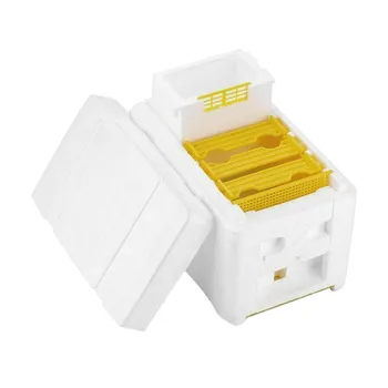 

Hive Box Harvest Beehive Queen Pollination Beekeeping For Bee Mating Copulation Queen Reserve Beekeeping Tool Hot Sale Hive Box